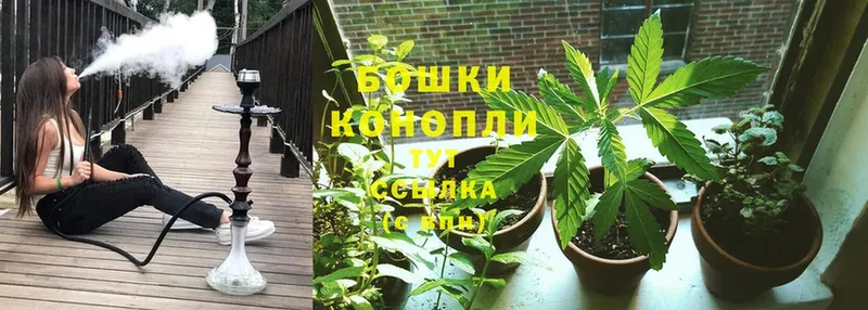 Каннабис SATIVA & INDICA  Великий Устюг 